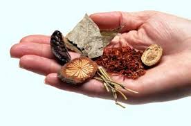 Six medicinal chinese herbs held in the palm of a hand